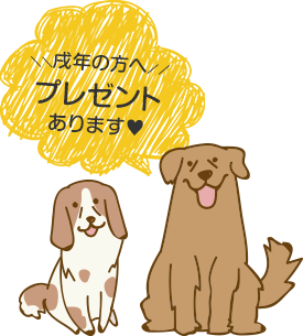 戌年の方へ プレゼントあります